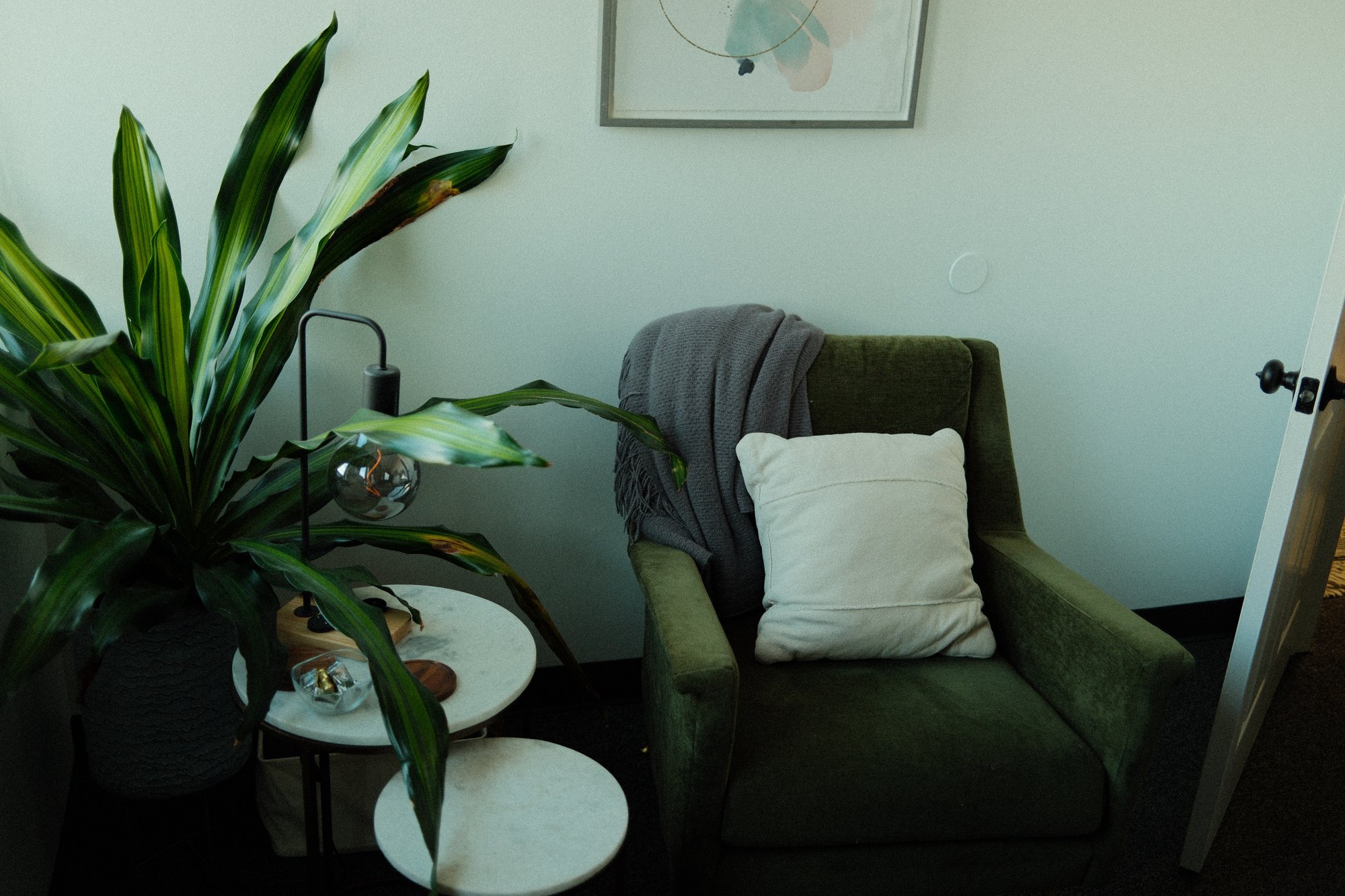 A dark olive velvet armchair beside a tall dracaena plant.